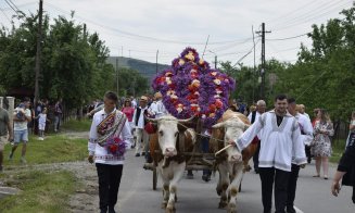 ”Înstruțatul boului” în statele din Transilvania de Rusalii, o reminiscență a unor credințe străvechi