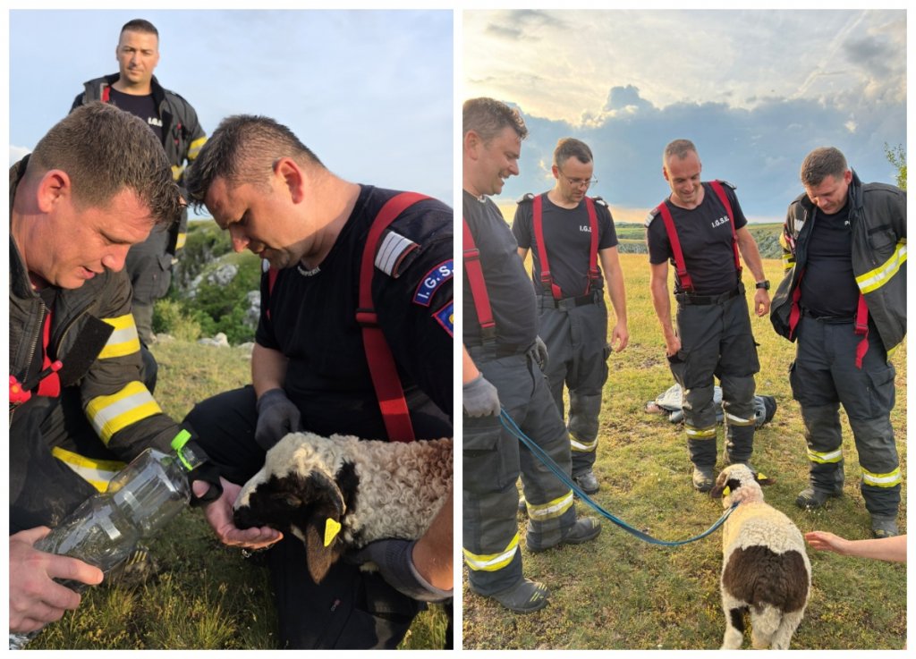 Misiune de salvare inedită în Cheile Turenilor: pompierii clujeni au salvat un miel căzut într-o râpă de peste 20 de metri