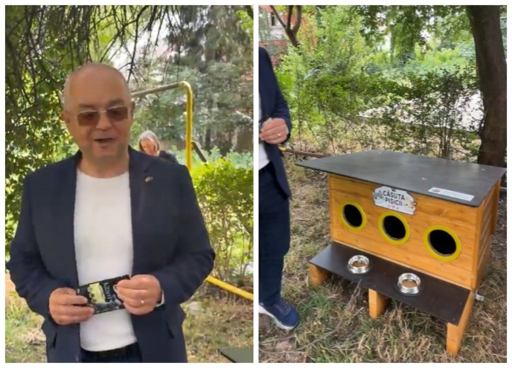 Primele căsuțe pentru pisicile fără stăpân au apărut în Cluj-Napoca. Emil Boc: "Clujenii iubesc animalele"