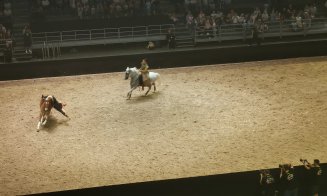 Spectacol ecvestru Sports Festival 2026