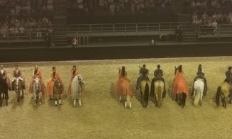 Spectacol ecvestru Sports Festival 2026
