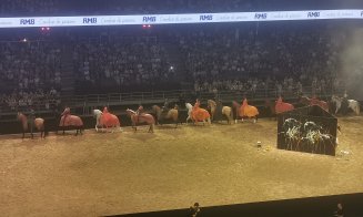 Spectacol ecvestru Sports Festival 2026
