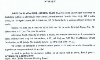 Clujenii, chemați să salveze pădurile Făget și Hoia. Dezbatere publică a Direcției Silvice