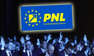 ”Epurări” în PNL: Liderii din 12 filiale care l-au susținut pe Veștea și-au pierdut funcțiile