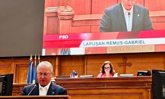 Remus Lăpușan, apel în Parlament: „România are nevoie de stabilitate, nu de jocuri politice și lecții false de europenism”