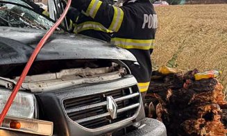 Bărbat ucis de un copac prăbușit peste mașina sa în timp ce se afla în mers / Locul din dreapta i-a fost fatal, șoferul a scăpat