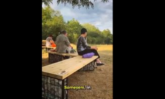 Primăria Cluj testează soluții bazate pe natură în Iris și Someșeni