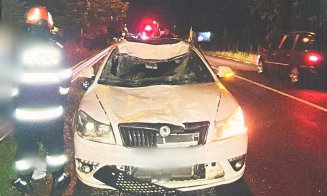 ACCIDENT în Cluj: Un cal accidentat și-a găsit sfârșitul pe șosea / Victimă + 2 mașini avariate