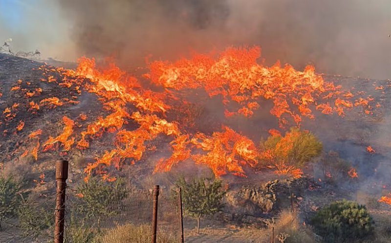 Oameni găsiți carbonizați în mașini, în urma unui incendiu de vegetație devastator în Spania / Autoritățile cred că toți sunt turiști străini