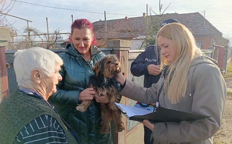 CJ Cluj continuă Programul de microcipare, înregistrare și sterilizare a câinilor cu stăpân