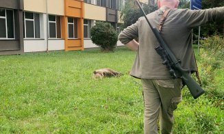 Urs pe străzile unui oraș din Aerdeal. A pătruns până în curtea unui liceu