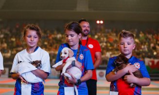 Cățelușii de la Centrul de Îngrijire din Cluj au fost atracția weekendului la Campionatul Mondial de Karate WUKF. Campania de adopții continuă