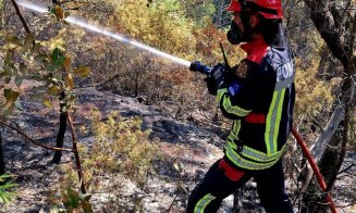 Pompierii români, în mijlocul infernului din Franța. Intervenție pentru salvarea locuințelor