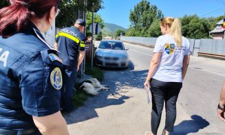 Acțiune fără precedent într-o comună din Cluj! Polițiștii au verificat câinii din gospodării și au dat avertismente