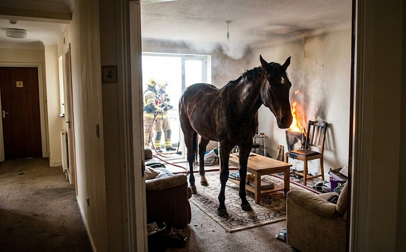 Clujenii, revoltați după anunțul primarului că rromii de la Pata Rât vor fi relocați în locuințe din oraș / Unii și-au amintit de familiile care au dus cai în apartamentele din Mănăștur și au făcut foc în casă