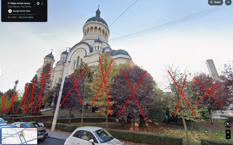 Se taie copacii din jurul Catedralei Mitropolitane din Cluj-Napoca. Societatea civilă se revoltă