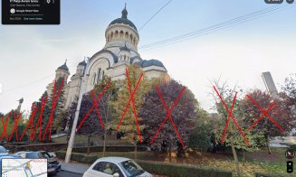 Se taie copacii din jurul Catedralei Mitropolitane din Cluj-Napoca. Societatea civilă se revoltă