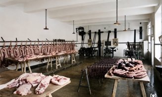 Firma Vlad & Co. S.A. – un reper al industriei alimentare românești din Clujul interbelic