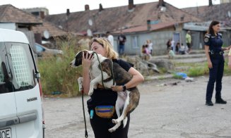 Acțiune pentru protecția animalelor în Cluj