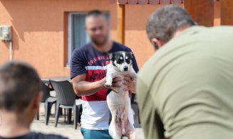 Acțiune pentru protecția animalelor în Cluj