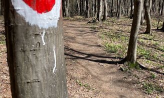 Traseul pilot din Făget pentru persoane cu dizabilități a fost vandalizat. Conducerea CJ Cluj anunță că va fi refăcut
