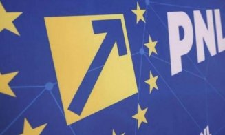 PNL, apel către partide pentru ca România să nu piardă 700 mil. euro: „Legea salarizării trebuie adoptată”