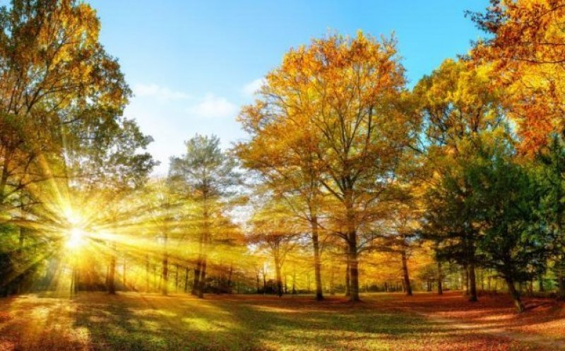 Meteorologii au actualizat prognoza! Cu ce vreme începe prima lună de toamnă/ Când vin ploile