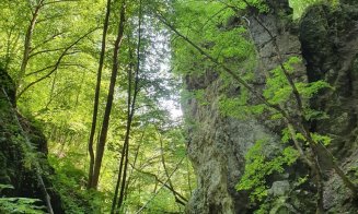 Escapada ideală pentru un weekend de vară. Se află în județul Cluj, într-un colț ascuns de natură