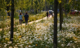 Emil Boc explică de de nu e tăiată iarbă de pe malul Someșului: "Un oraș verde e unul care respectă natura"