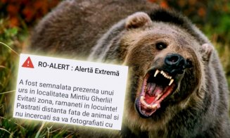 Urs în zona unei localități din județul Cluj. A fost transmis mesaj RO-Alert către populație
