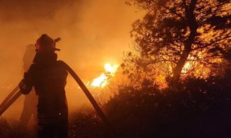 Incendiu de pădure în Cluj. Pompierii intervin cu dificultate din cauza terenului accidentat