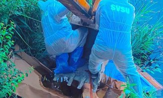 Caz revoltător în Cluj: un porc mort a fost aruncat într-o baltă. Autoritățile au intervenit de urgență