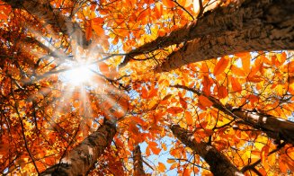 Temperaturi peste normal în cea mai mare parte a lunii septembrie. Deficit de precipitaţii în primele două săptămâni