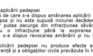 Cristi Danileț: ”Văd în presă că se spune «Clotilde Armand a fost condamnată». Nu este adevărat. (...) se șterge totul ca și cum nu ar fi fost acest d