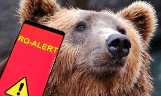 URȘI semnalați joi noaptea în câteva localități din Alba, județ vecin Clujului / ISU a transmis mesaje RO-ALERT