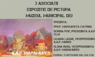 Trei asociații de artiști plastici se reunesc la Dej într-o expoziție de pictură unică
