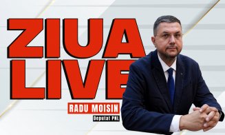 Ce șanse are Guvernul Siegfried și care este "planul D" al președintelui Nicușor Dan / Deputatul Radu Moisin, invitat la ZIUA LIVE