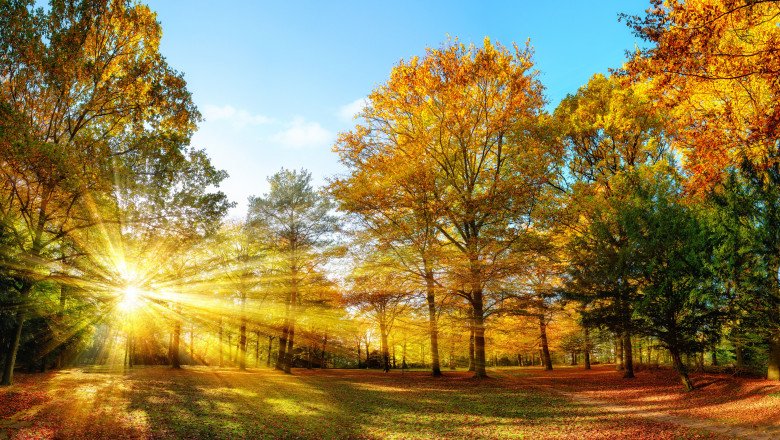 Prognoză nouă pentru luna octombrie. Cât mai ține vremea ca de vară