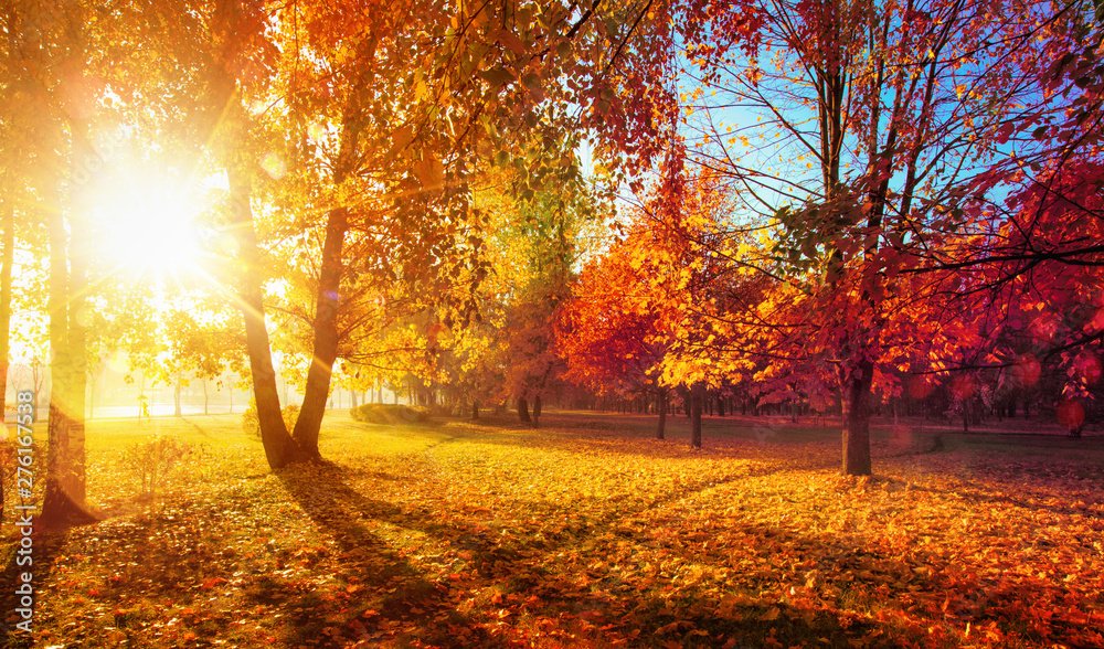 Va fi o toamnă superbă la Cluj! Prognoza meteo până la început de noiembrie