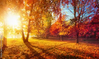 Va fi o toamnă superbă la Cluj! Prognoza meteo până la început de noiembrie