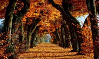 Prognoza pe două săptămâni în Transilvania. Diferențe mari în termometre: ziua ca vara, noaptea ca iarna