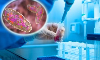 Organizațiile sanitare, în alertă după cazul de ciumă pulmonară din Rusia. Aproape 200 de persoane, puse în carantină