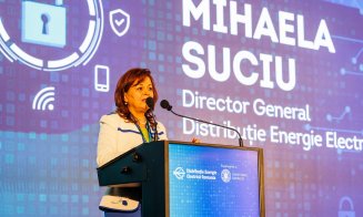 Mihaela Suciu, nou mandat de patru ani la conducerea DEER. Pentru 2026, e aprobat un program CAPEX record de 1,48 miliarde de lei