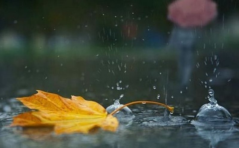 Cum va fi vremea în următoarea lună. Ploile vor fi mai abundente decât de obicei