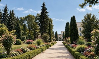 Clujul verde al anilor '50 – parcuri, grădini și peisaj urban