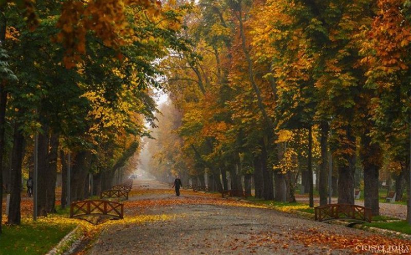 Vremea se schimbă radical de luni: temperaturile scad cu 15 grade, vin ploile, iar la munte poate ninge brusc