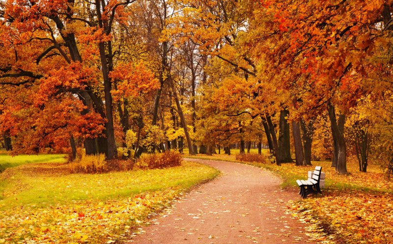 Intrăm direct în iarnă? Prognoza meteo până la sfârșit de octombrie