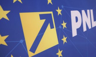 PNL discută susținerea Guvernului Niculescu. Ce condiții pun liberalii pentru votul de învestitură
