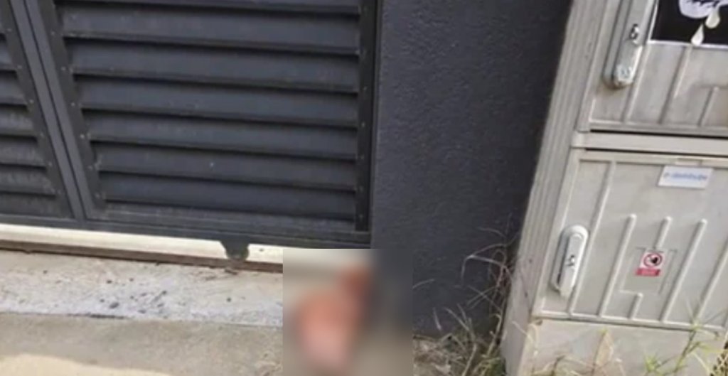 Cofondator AUR a reclamat la Poliție că a găsit un cap de porc în fața porții locuinței sale