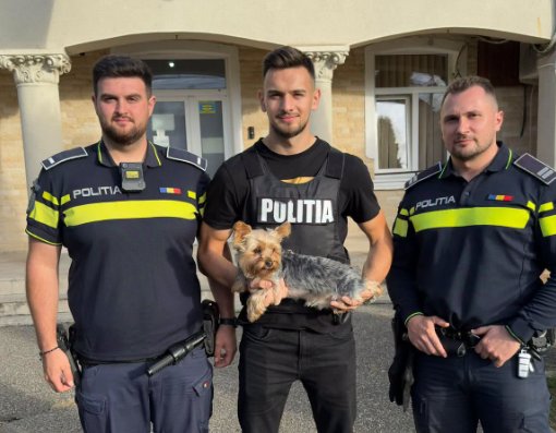 Un cățel a fost furat din fața unui magazin din Cluj-Napoca. Unde l-au găsit polițiștii
